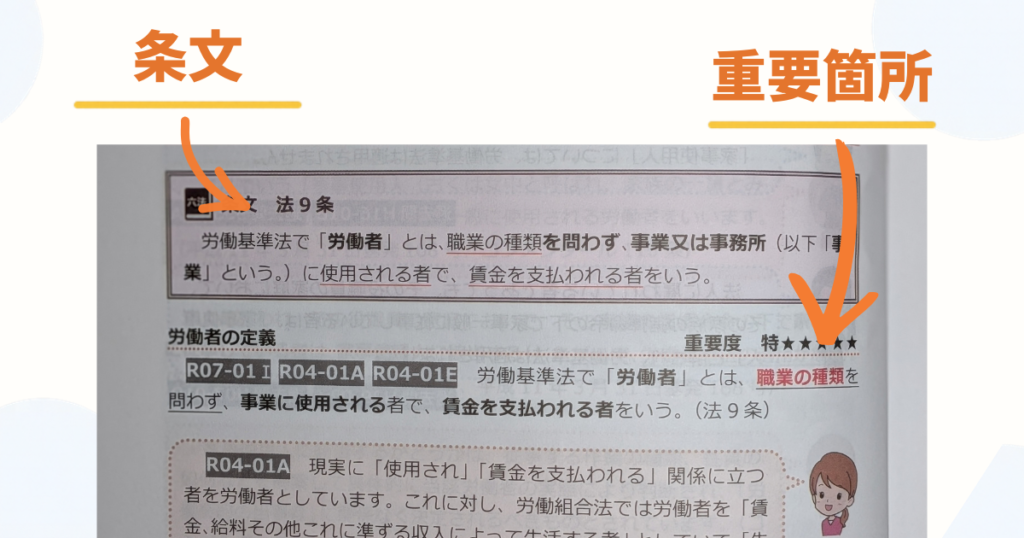 重要な箇所は赤字、条文は薄い赤の背景